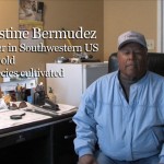 DFC - Augustine Bermudez profile